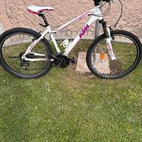 MTB KTM PENNY LANE