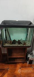 Acquario tetra 80 litri con filtro