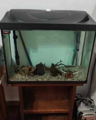 Acquario tetra 80 litri con filtro
