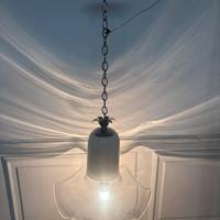 Lampaderio leucos toso