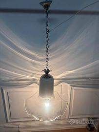 Lampaderio leucos toso