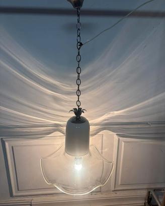 Lampaderio leucos toso