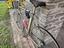Immagine 5
