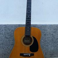 chitarra acustica Morris wk 601