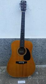 chitarra acustica Morris wk 601
