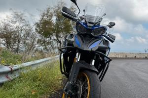 QJ SRT 800 SX 2024