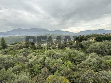 Terreno - Monreale