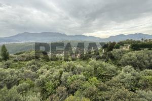 Terreno - Monreale