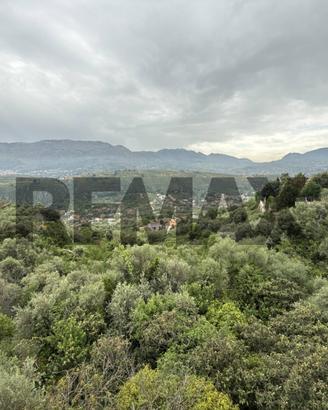Terreno - Monreale