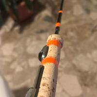 Canna da pesca barca per lavarello