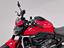 Immagine 11