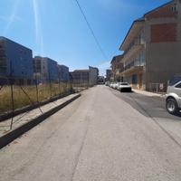 FALL 4/2022 Trib Patti - LOTTO 1