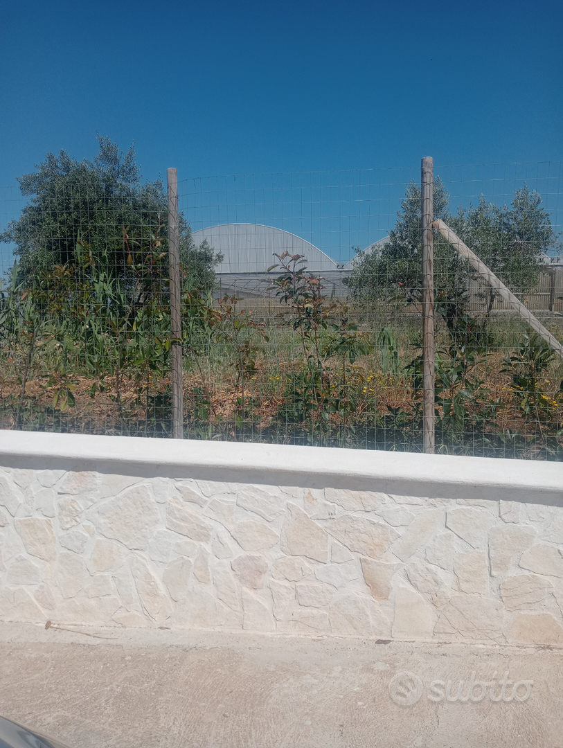 Terreno agricolo Sperlonga (lago lungo) - Vista 5