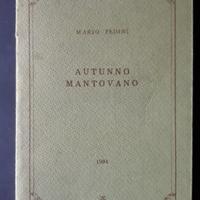 "Autunno mantovano" libro di Mario Pedini