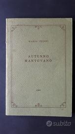 "Autunno mantovano" libro di Mario Pedini