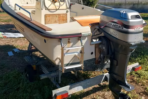 BARCA A MOTORE ELAN GT 450 FAMILY CON CARRELLO