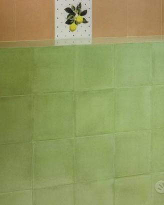 Piastrella 20x20 Vita Verde Luc. Sant'Agostino