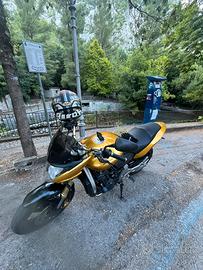 HONDA HORNET 600 ORO