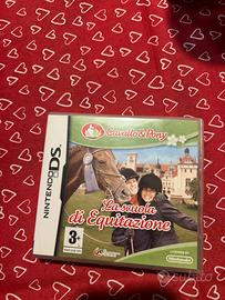 Gioco nintendo ds