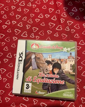 Gioco nintendo ds