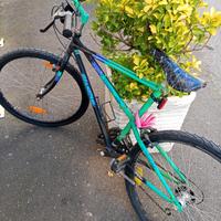 bici bianchi thomisus