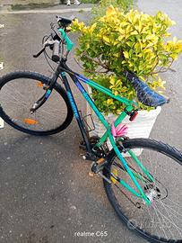 bici bianchi thomisus