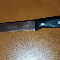 Coltello professionale per arrosto “Rotfrei” inox