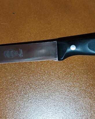 Coltello professionale per arrosto “Rotfrei” inox