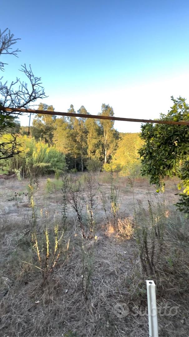 Terreno Agricolo: Pozzo, Piante, Rudere - Vista 5