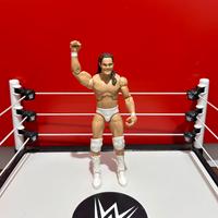 WWE Bo Dallas wrestling action figure