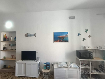 Stagione estiva in Lampedusa