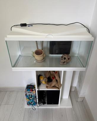 Acquario