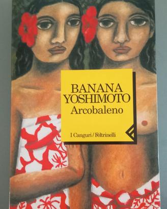 Libro di Banana Yoshimoto, Arcobaleno