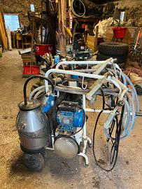 Mungitrice per capre 4 gruppi