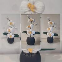 Orchidea all' uncinetto