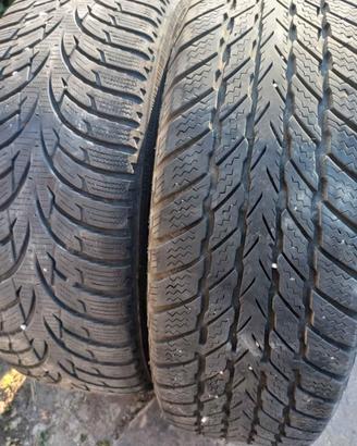 Cerchi e gomme Ford Fiesta 2003 175 65 R14