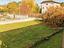 Immagine 11
