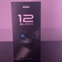 Go pro 12