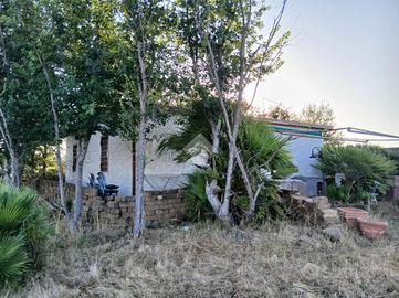 CASA INDIPENDENTE A LADISPOLI