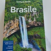 lonley planet brasile