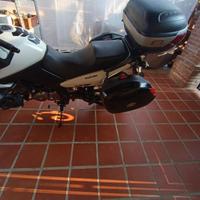 moto Suzuki v strom dl 650