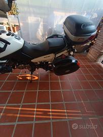 moto Suzuki v strom dl 650