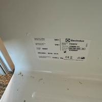 Frigo