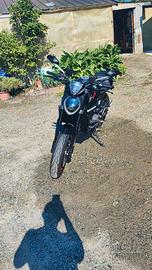 Ducati Monster 937 - 2022