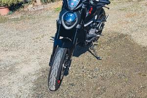 Ducati Monster 937 - 2022