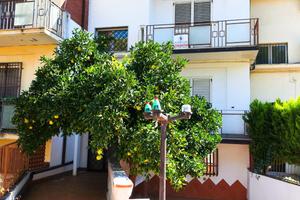 Villetta a schiera a Villapiana Lido (CS)