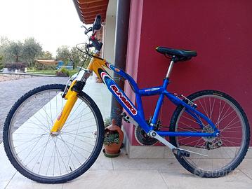 Bicicletta per ragazzi 10 anni