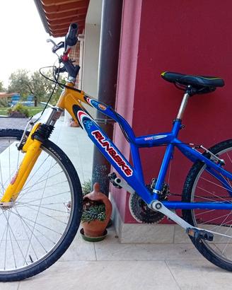 Bicicletta per ragazzi 10 anni