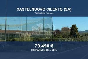 Immobile in asta di 22689 m² a Castelnuovo Cilento