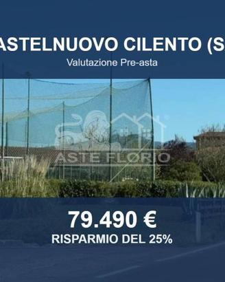 Immobile in asta di 22689 m² a Castelnuovo Cilento